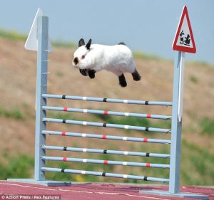 bunny-hopping